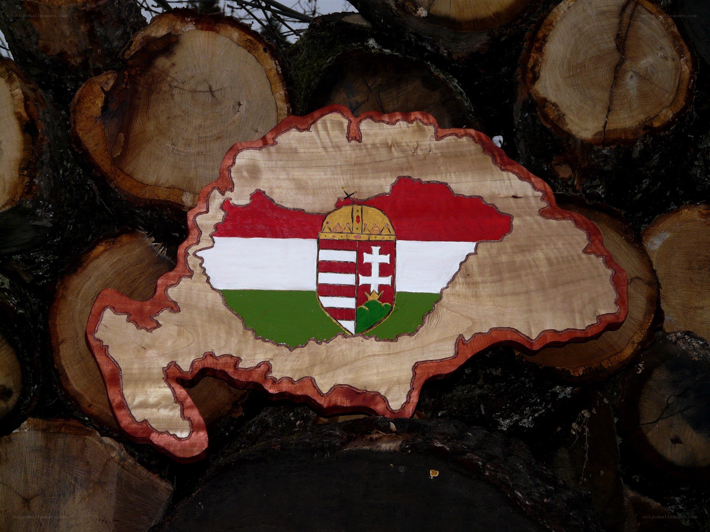 Hungary map with flag carving