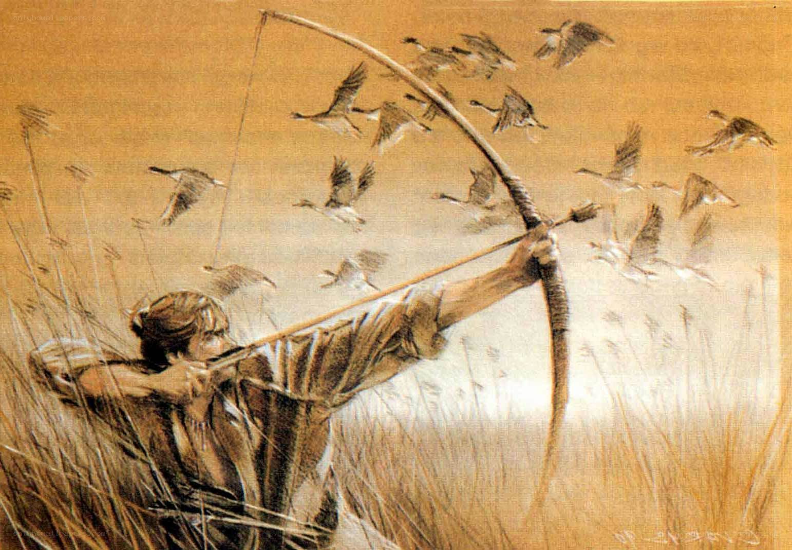 Hunter aiming at birds