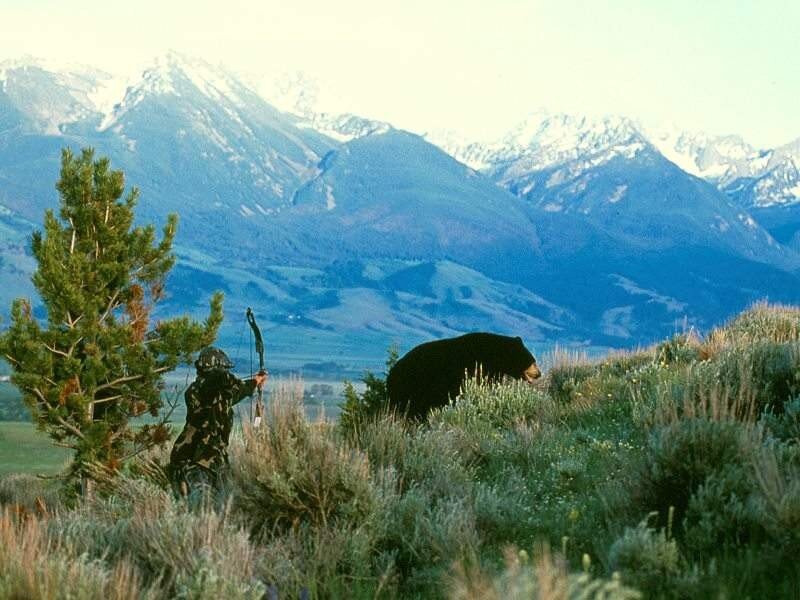 Hunter and bear in mountain landscape
