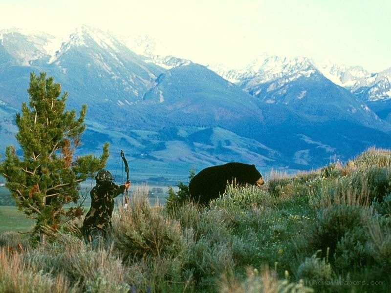 Hunter and bear in mountain landscape