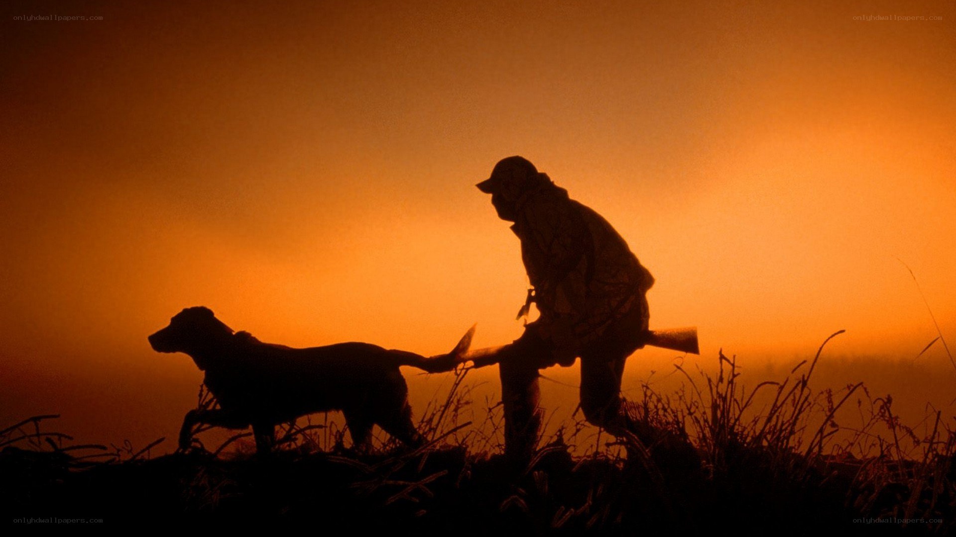 Hunter and dog at sunset