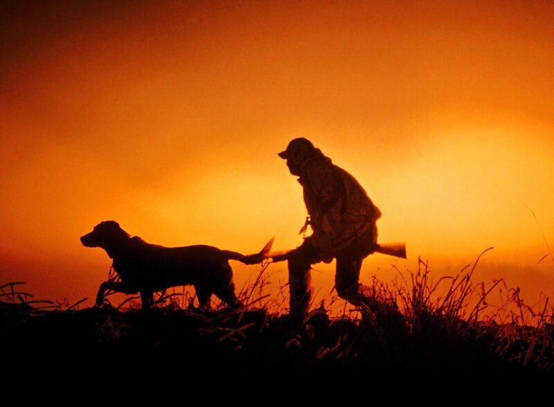 Hunter and dog at sunset
