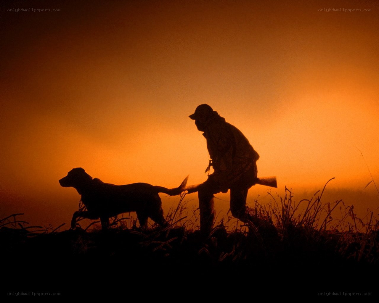 Hunter and dog at sunset