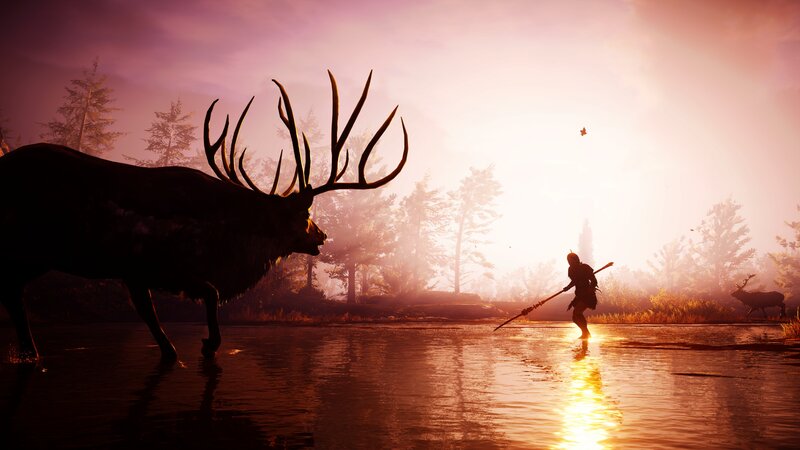 Hunter Facing Elk
