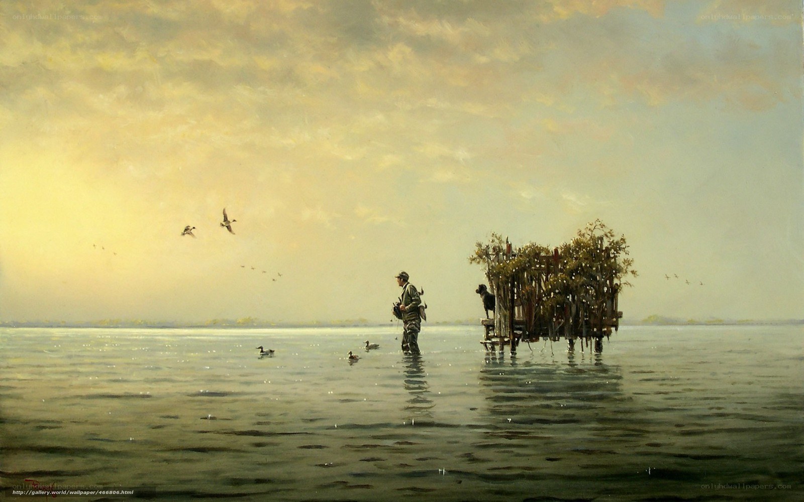 Hunter in a duck blind