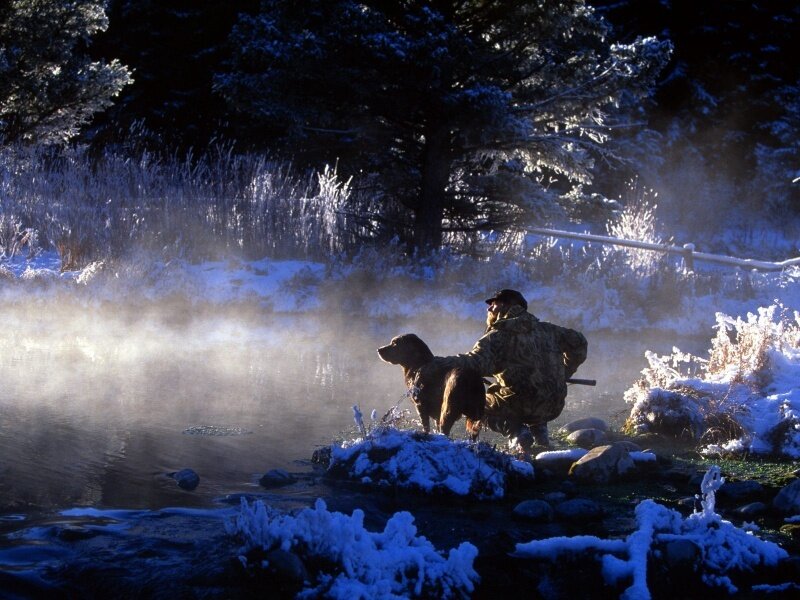 Hunter with dog in snowy landscape