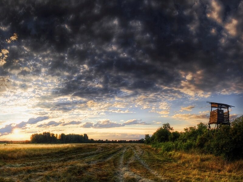 Hunting Blind in Field