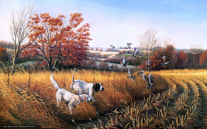 Hunting dogs in autumn field