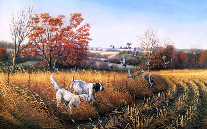 Hunting Dogs in Field