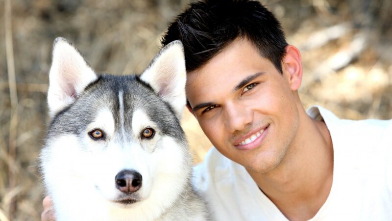 Husky Dog and Man — White