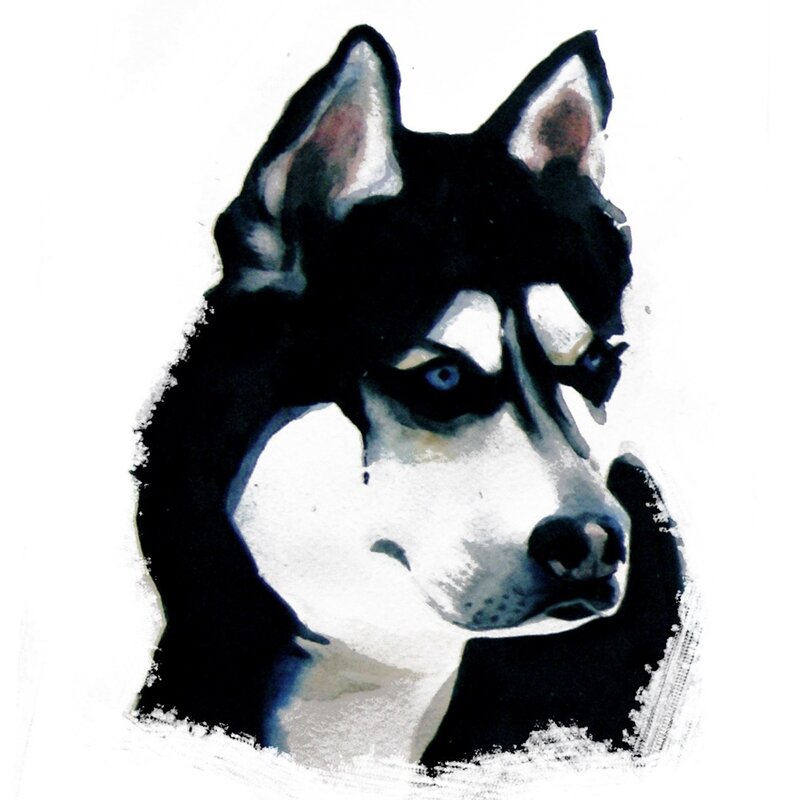 Husky Dog Head — Black, Intense