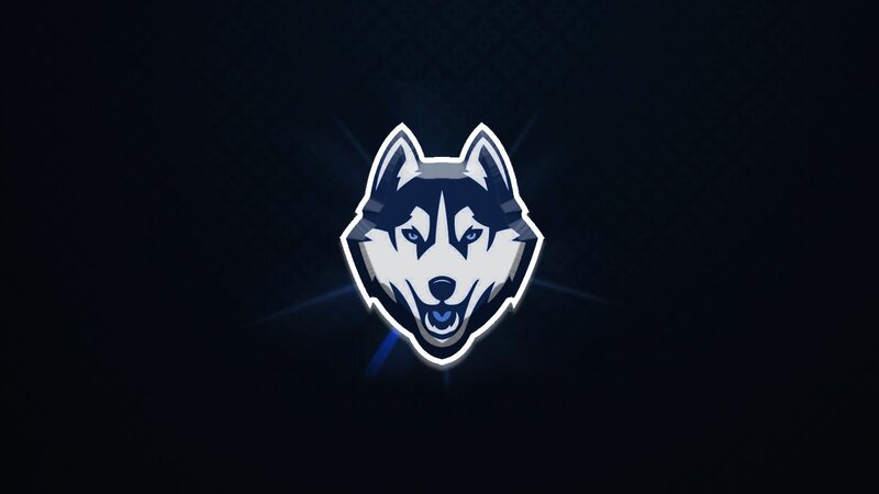 Husky Dog Head — Black