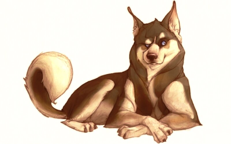 Husky Dog Lying Down — Brown, Calm, Digital Art