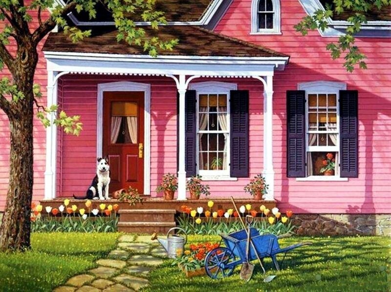 Husky Dog on Porch — Pink