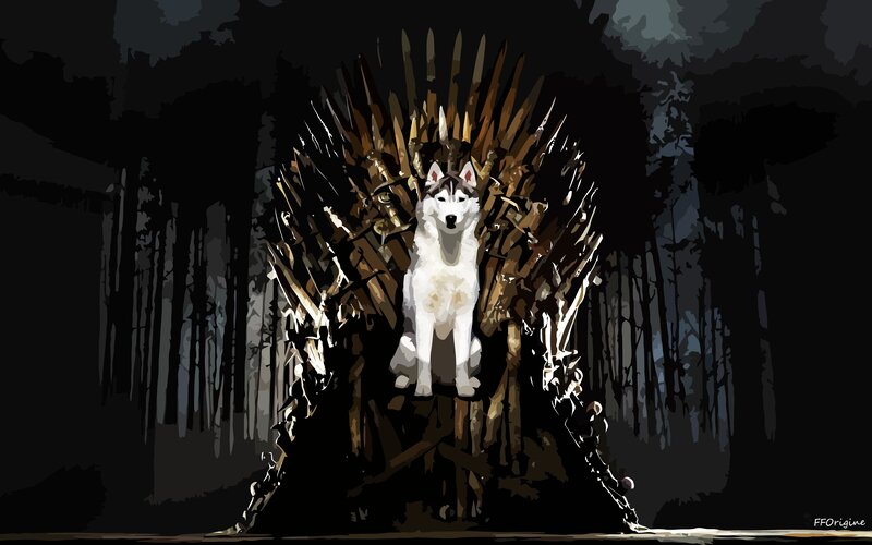 Husky Dog on Throne