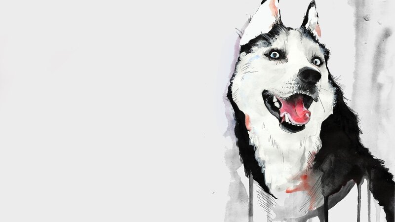 Husky Dog Portrait — Black, Playful