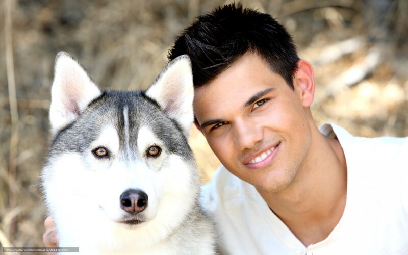 Husky Dog with Man