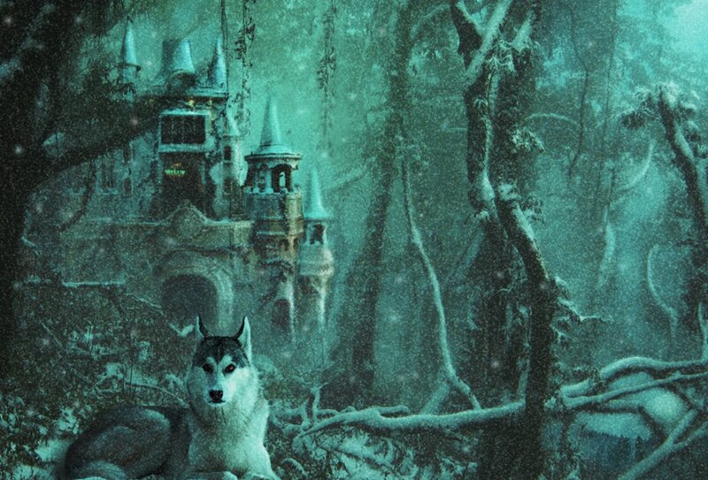Husky in Snowy Forest