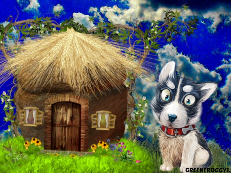 Husky Puppy in Garden — Blue