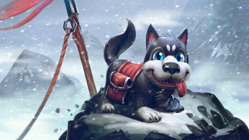 Husky Puppy in Snow — Gray, Playful