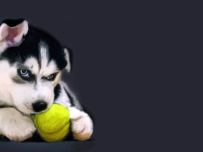 Husky Puppy with Ball