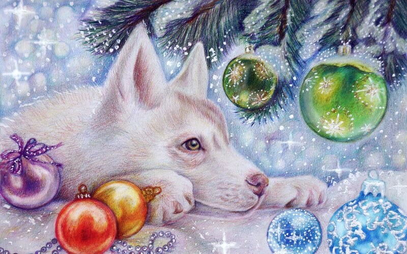 Husky puppy with Christmas ornaments