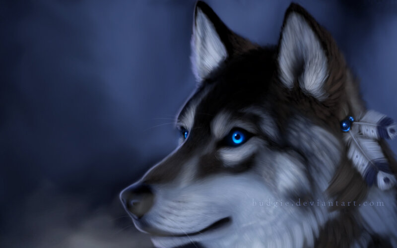 Husky with Blue Eyes — Dramatic, Night, Digital Art, Feather