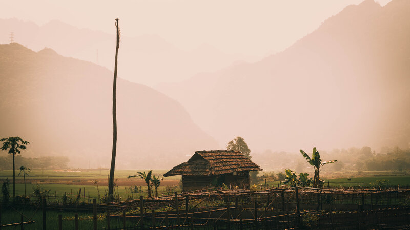 Hut in Rice Fields