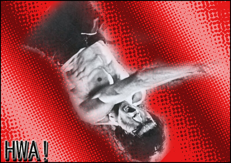 HWA! action poster