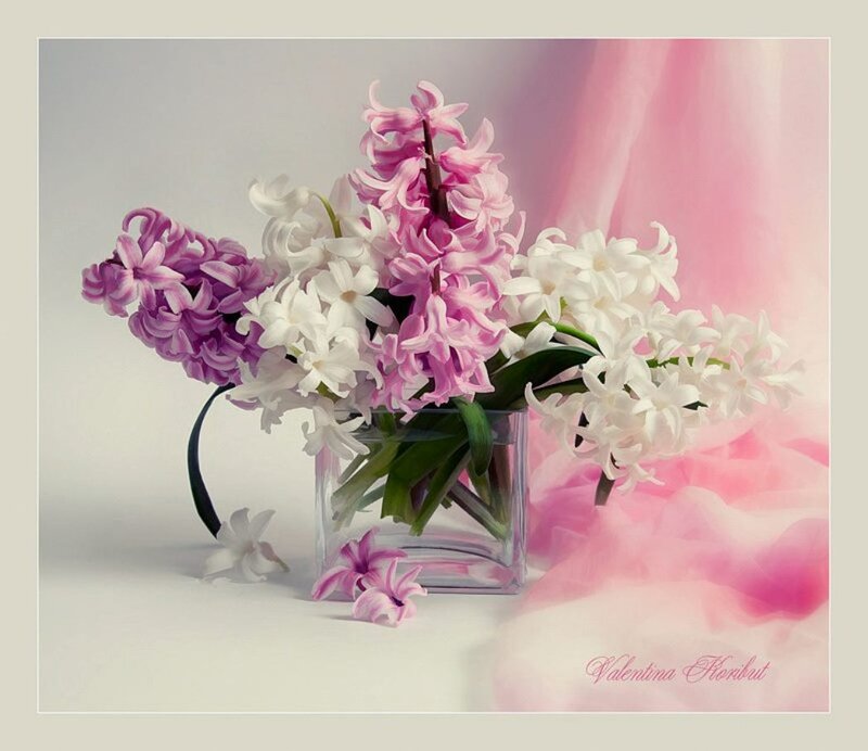 Hyacinth Bouquet in Vase — Pink