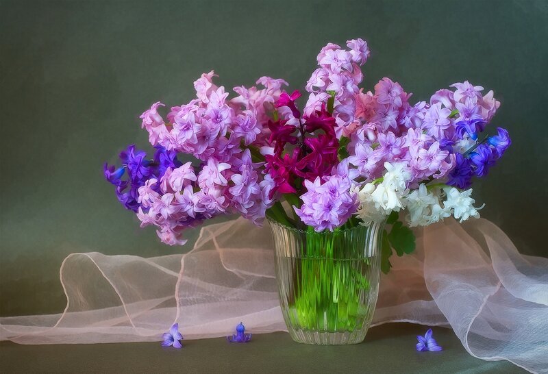 Hyacinth Bouquet in Vase — Purple