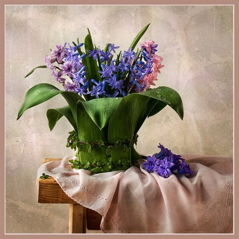 Hyacinth bouquet on a table