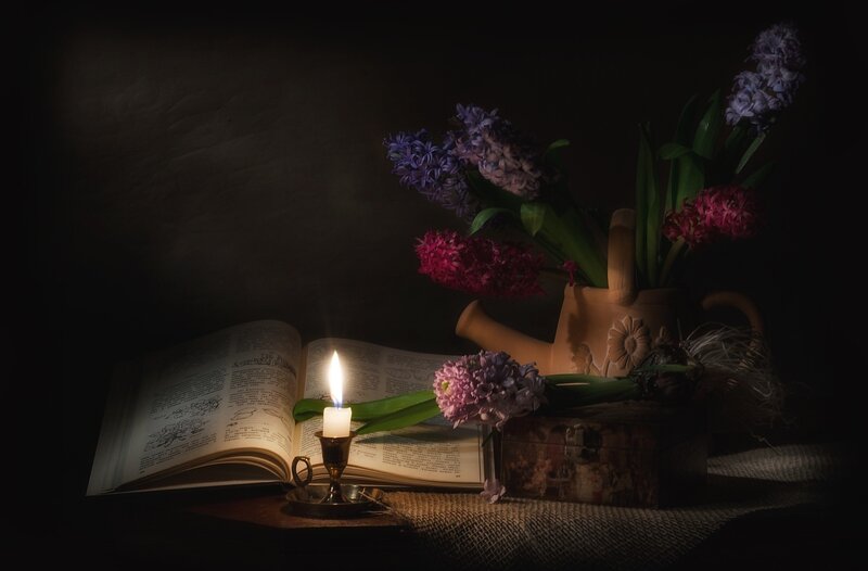Hyacinth Flowers and Book