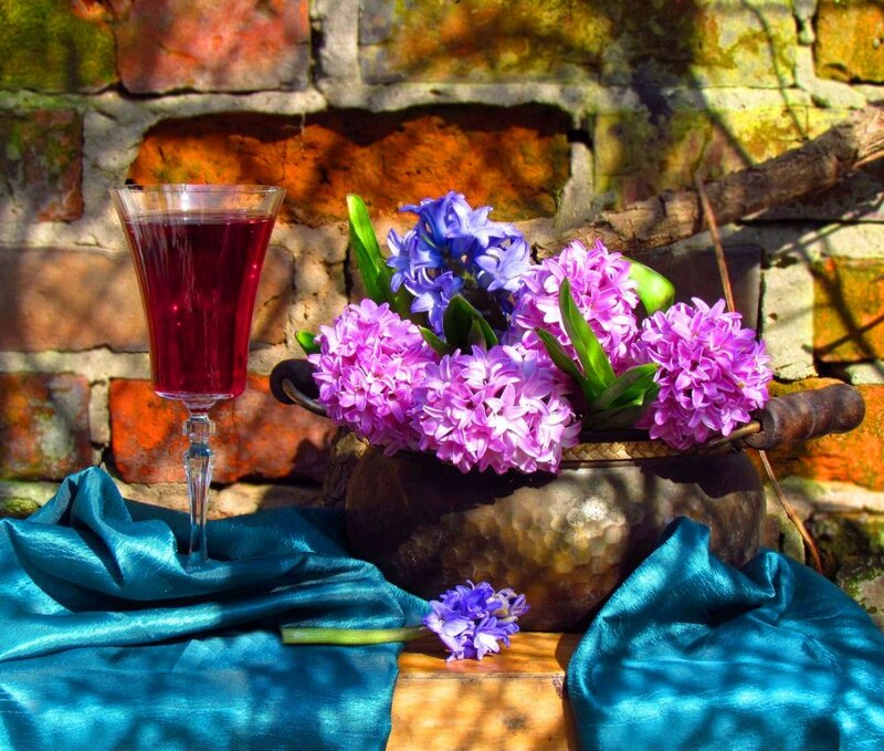 Hyacinth Flowers and Wine