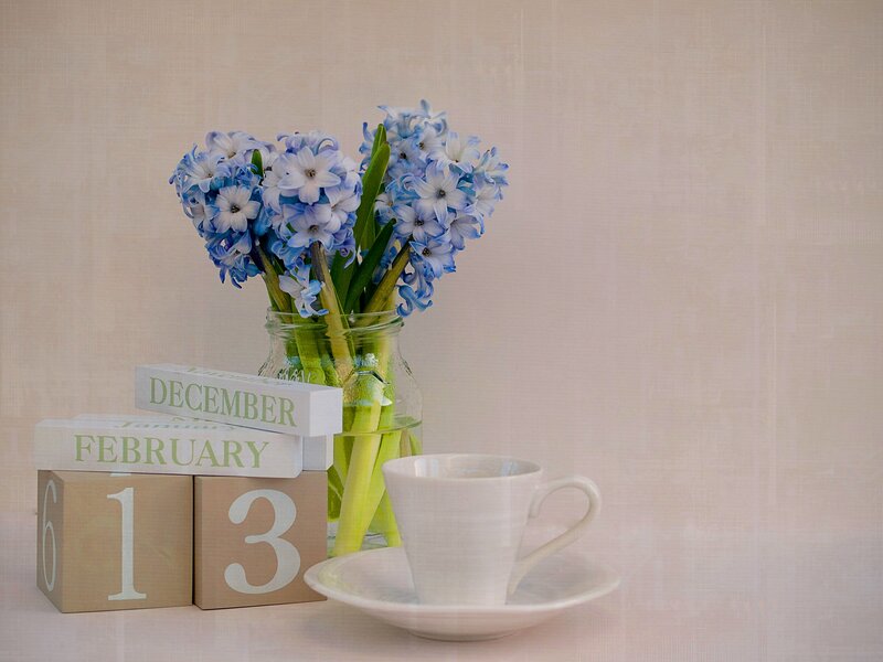 Hyacinth Flowers in Jar