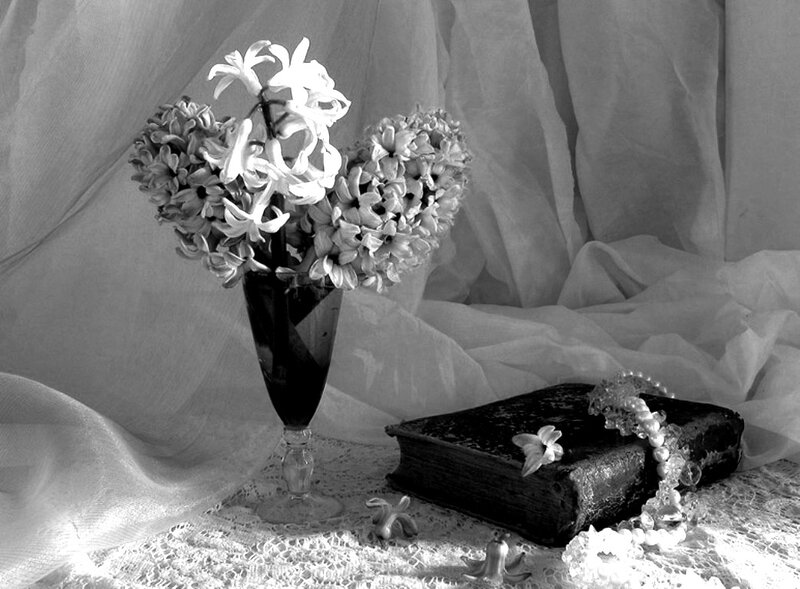 Hyacinth Flowers in Vase — Black