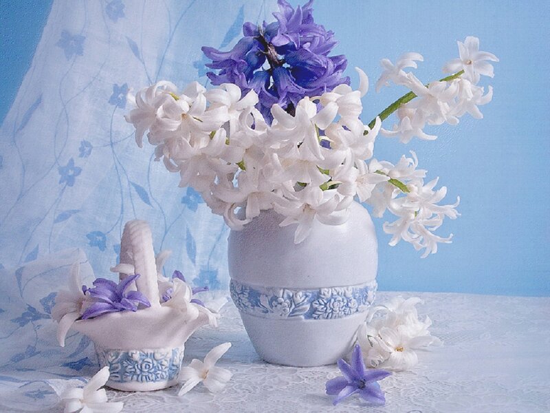 Hyacinth Flowers in Vase — Blue, Serene, Photograph, Basket