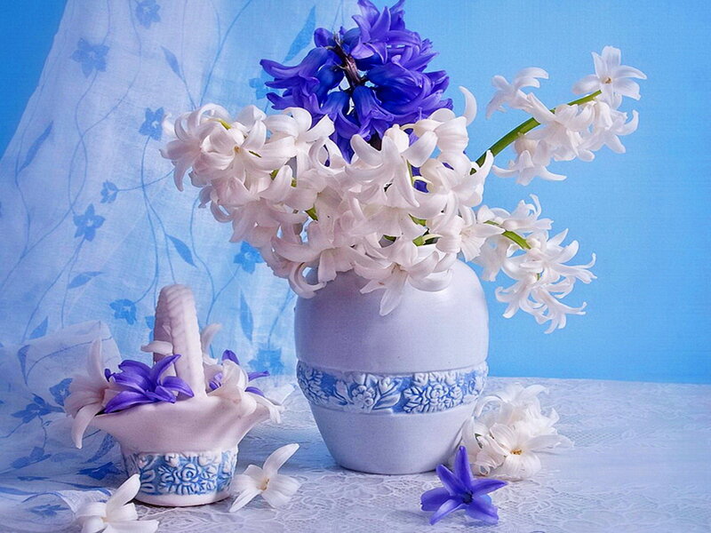 Hyacinth Flowers in Vase — Blue, Serene