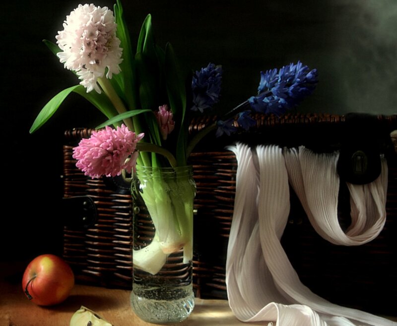Hyacinth Flowers in Vase — Green