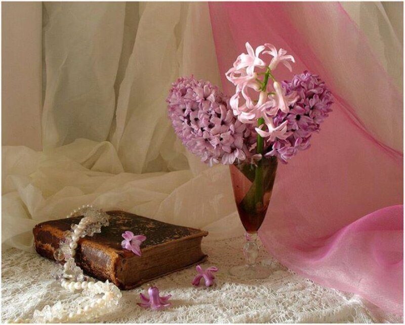 Hyacinth Flowers in Vase — Pink, Serene