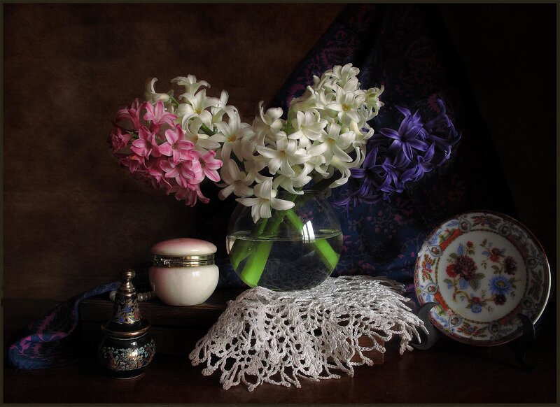 Hyacinth Flowers in Vase — White