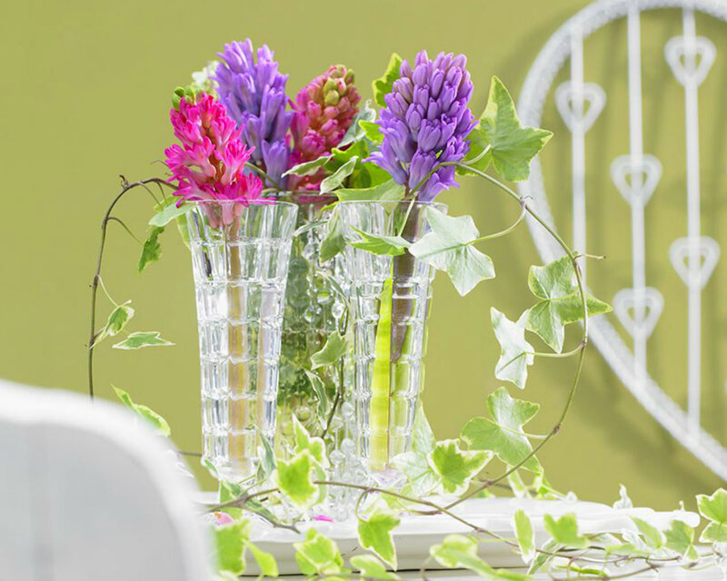 Hyacinth Flowers in Vases — Purple