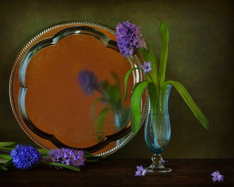 Hyacinth Flowers on Table