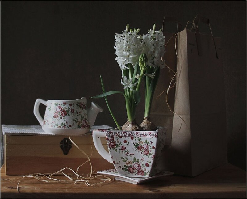Hyacinth in Teacup