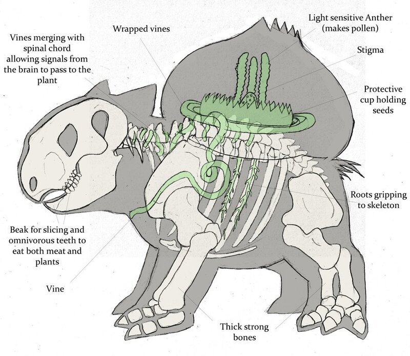 hybrid plant-animal anatomy