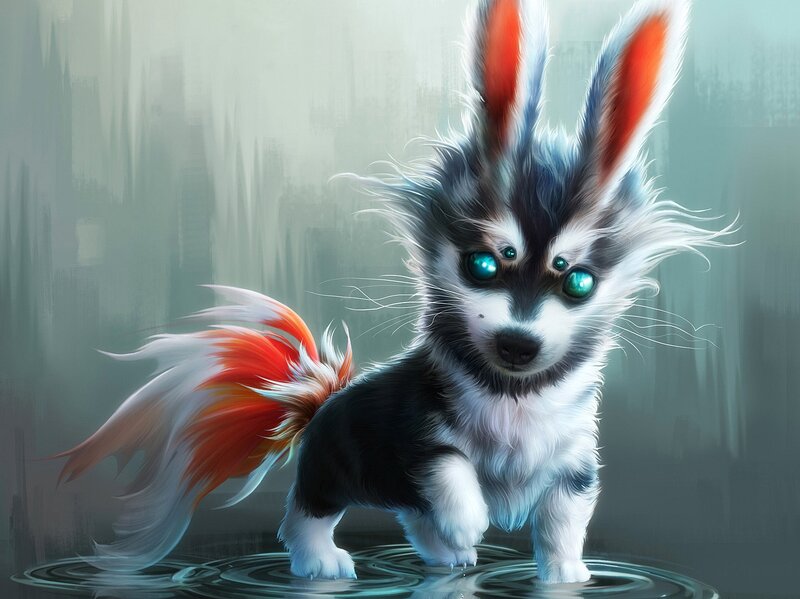 Hybrid Puppy with Rabbit Ears