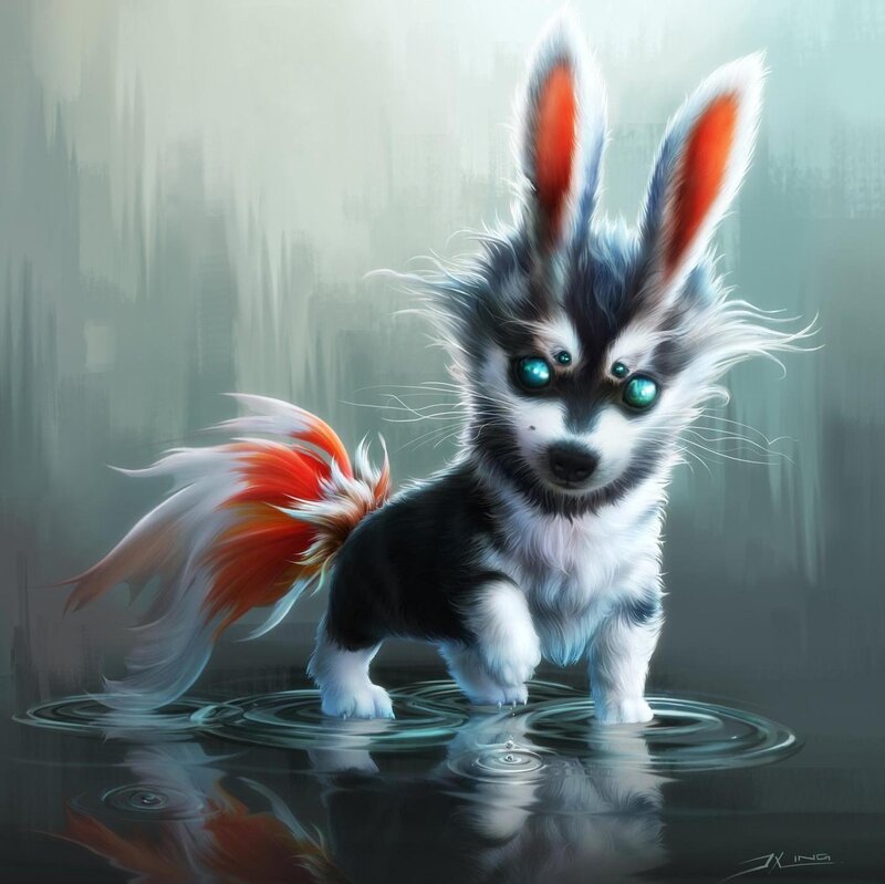 Hybrid Rabbit-dog Puppy