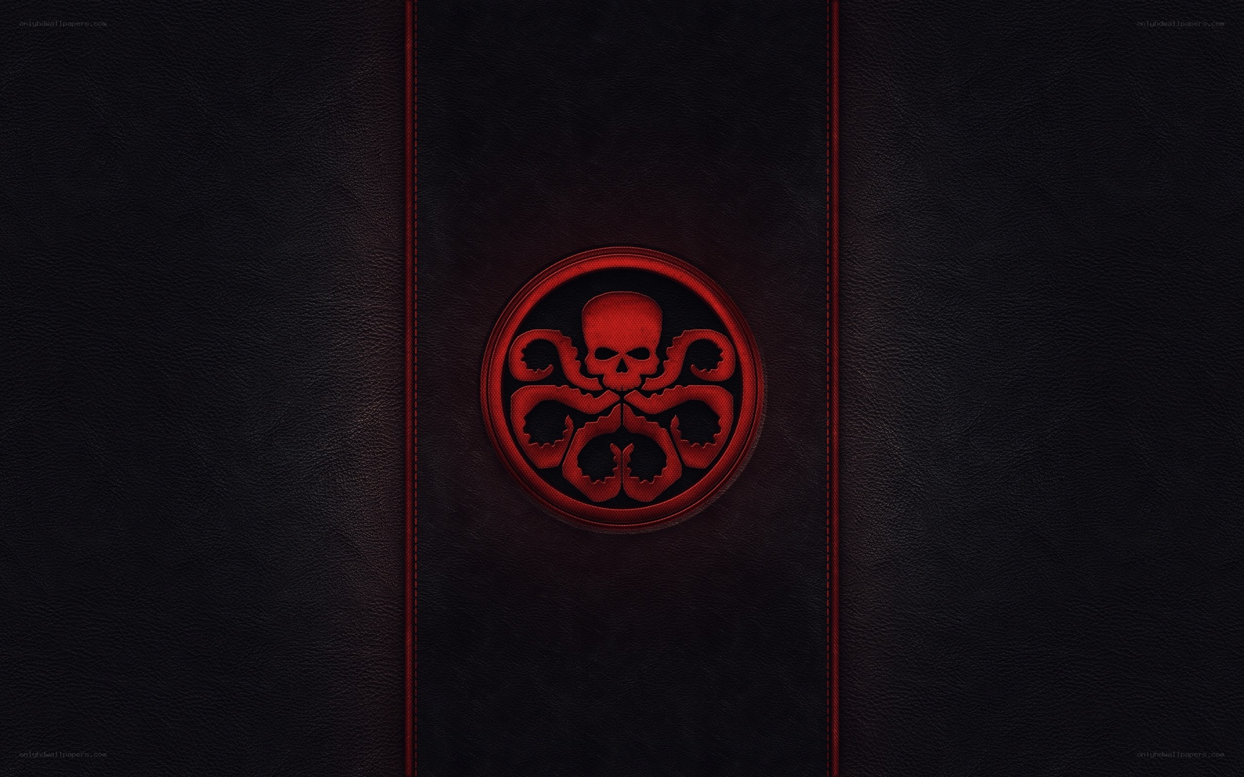 HYDRA logo on leather