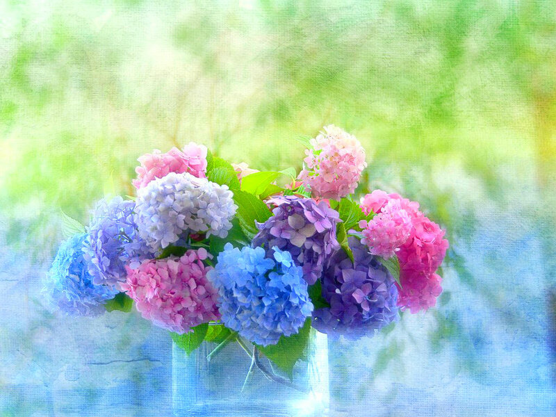 Hydrangea Bouquet in Vase — Blue, Serene, Spring, Digital Art