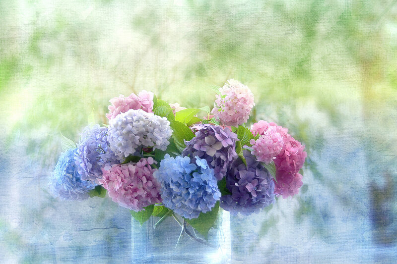Hydrangea Bouquet in Vase — Blue, Serene, Spring